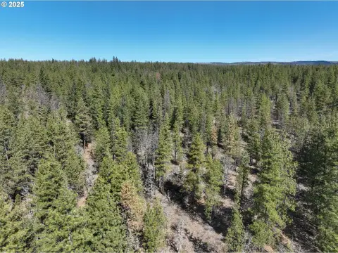 Gated Forest Land Parcel