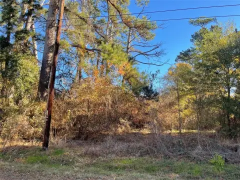 Land Near Lake Palestine Shores