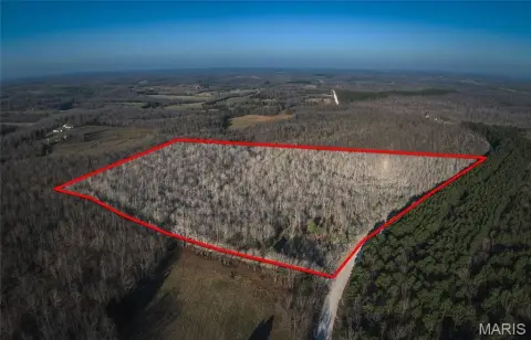 Wooded Hunting Tract with Road Access