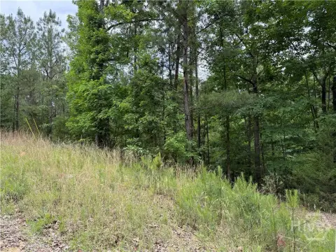 Land Near Clarks Hill Lake