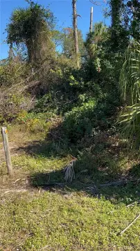 Residential Land in North Port