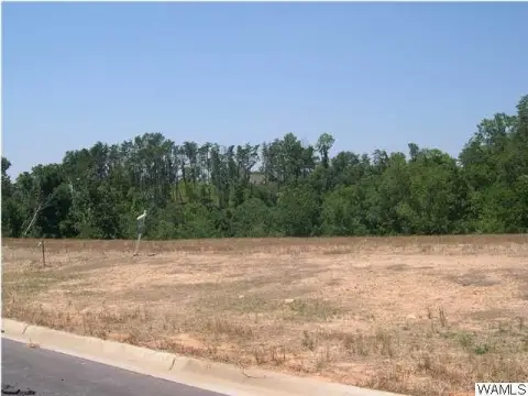 Land For Sale Tuscaloosa