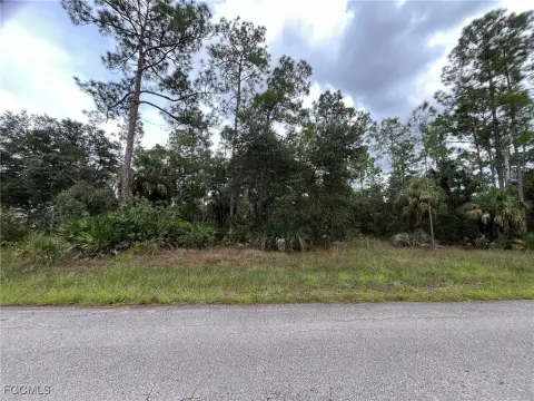 Lehigh Acres Half Acre Lot