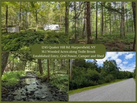 Wooded Recreation Land