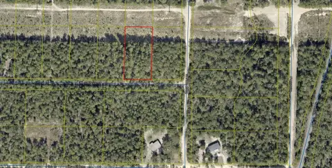 DeFuniak Springs Wooded Lot