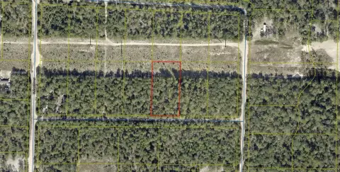 DeFuniak Springs Partially Wooded Land