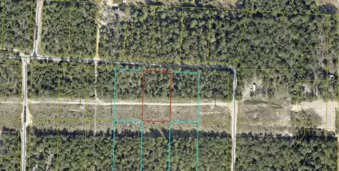 DeFuniak Springs Partially Wooded Land