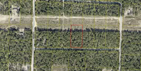 DeFuniak Springs Partially Wooded Lot