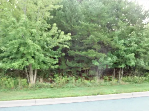 Residential Condo Lots in Princeton