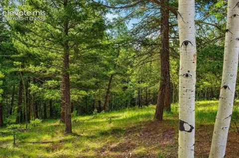 Cul-de-Sac Residential Land Parcel
