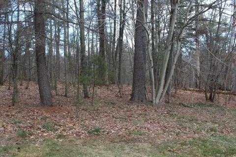 Huntingdon Vacant Land For Sale