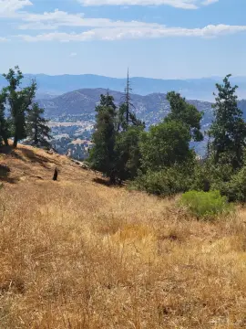 Tehachapi Land: Build Your Dream
