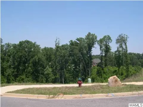 Land For Sale Tuscaloosa