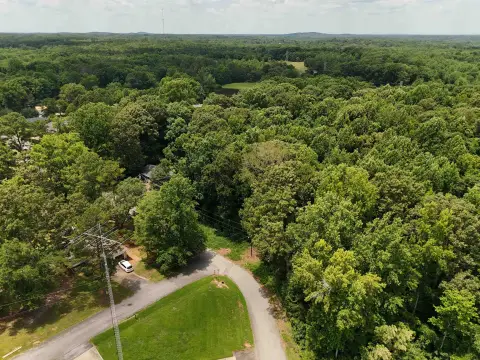 Mature Hardwood 10.5-Acre Tract