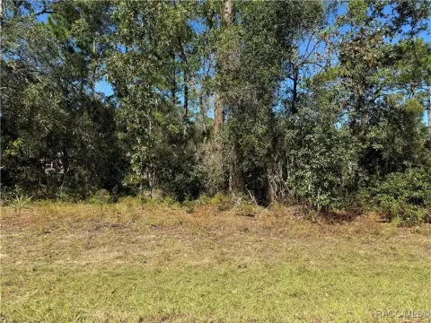 Residential Land in Citrus Springs