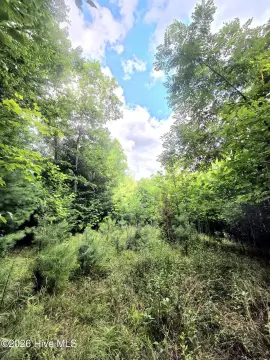 Unrestricted Hunting Land Parcel