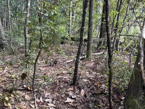 Residential Land in Tallahassee, FL