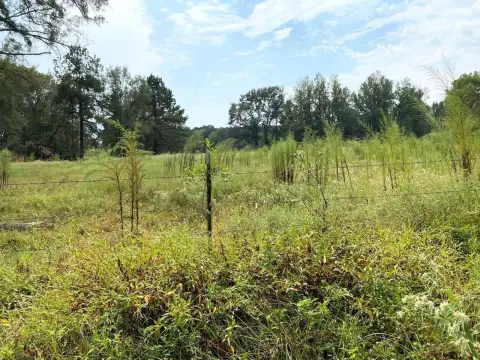 55 Acres of Pastureland