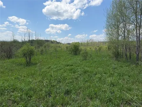 Recreational Hunting and Homesite Land