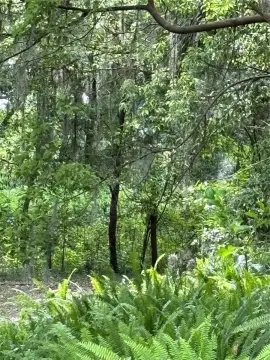 Land Parcel in Deland, Florida