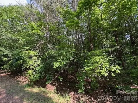 Residential Land in Statesville, NC
