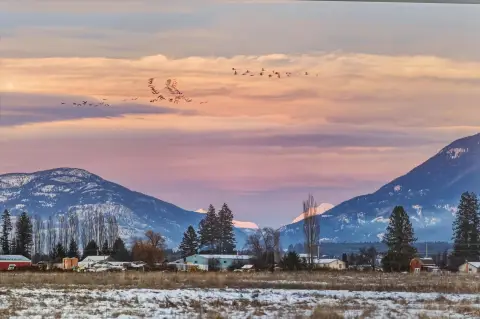 Kalispell Land with Mountain Views