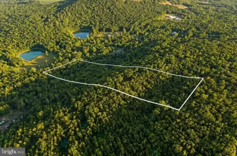 Wooded Mountain Land Parcel