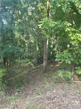 Riverfront Lot Near UGA Campus