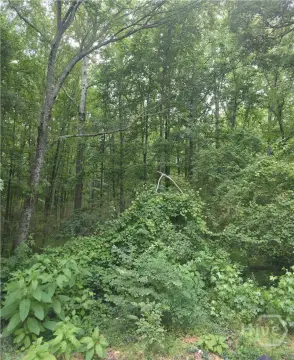 Residential Lot Near Downtown Winder