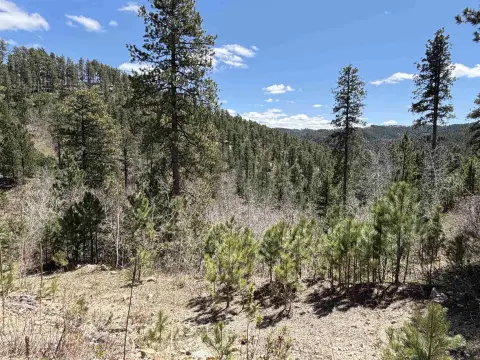Historic Mining Land in Black Hills