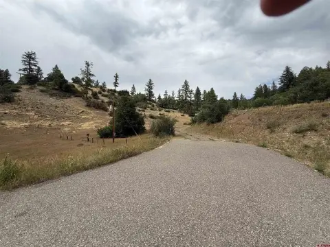 Recreational Land on US Hwy 84