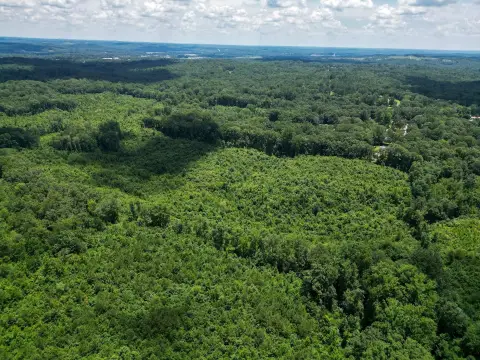 Recreation Land with Road Frontage