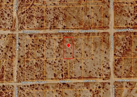 Vacant Desert Land Parcel
