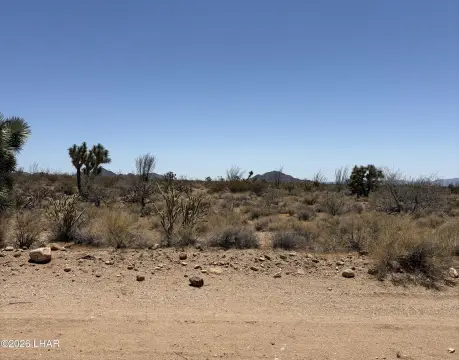 Arizona Desert Land Parcel