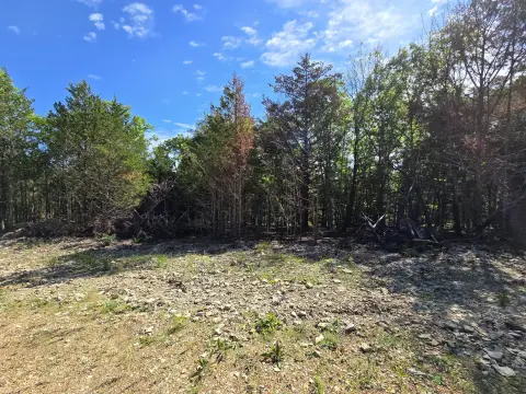 Recreational Land Near Boat Ramp