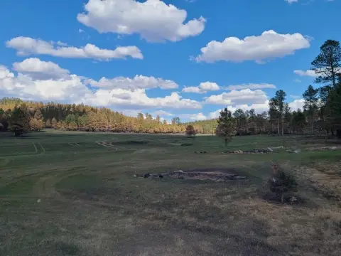Custer Acreage with Frog Ponds