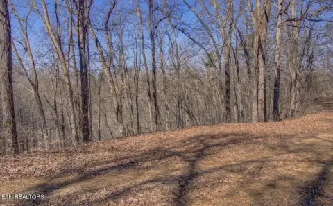 Wooded Land with Mountain Views