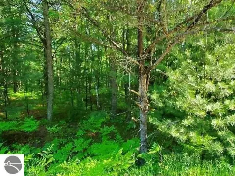 Wooded Lot with Lake Access