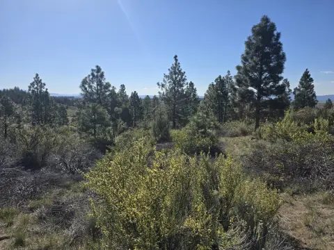 Residential Land with Mountain Views