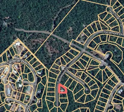 Residential Land in Brookeland, TX