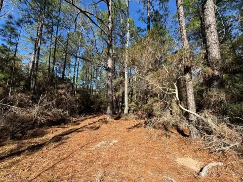 Rayburn Country Corner Lot