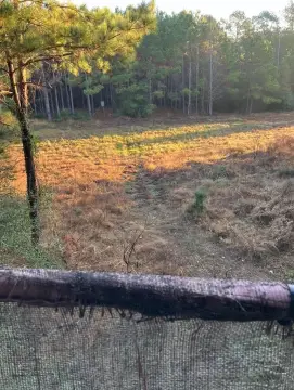 Groveton, Texas 10-Acre Retreat