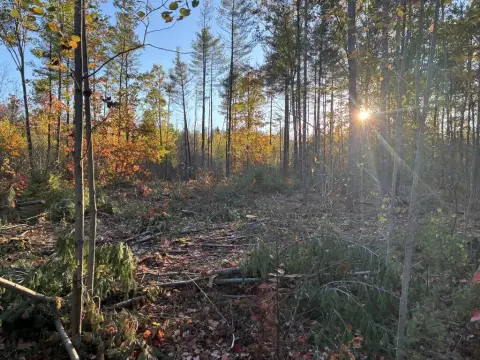 Farmington Land Ready For Building