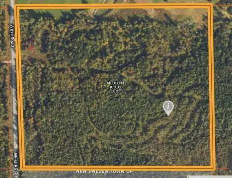 32 Acre Woodlot in Maine