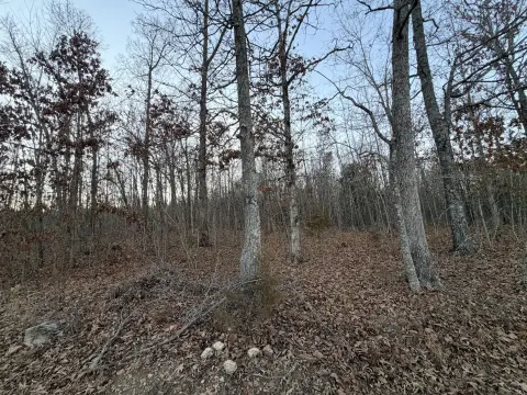 Secluded Ozarks Hunting and Recreation Land