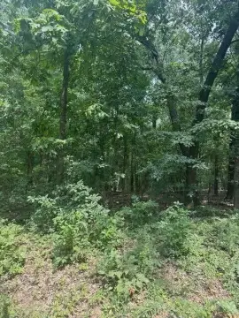 Land in the Missouri Ozarks