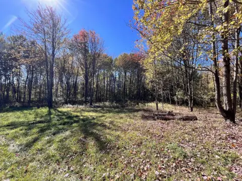 Wooded Land in Western New York