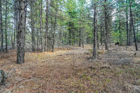 14 Acres of Flat Land