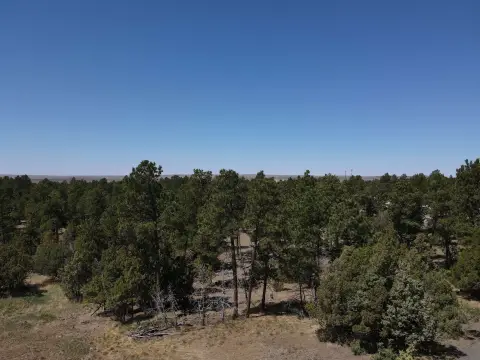 Upton, WY Wooded Acreage