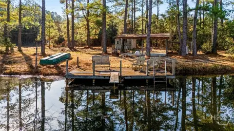 11.8 Acres in Springfield, GA